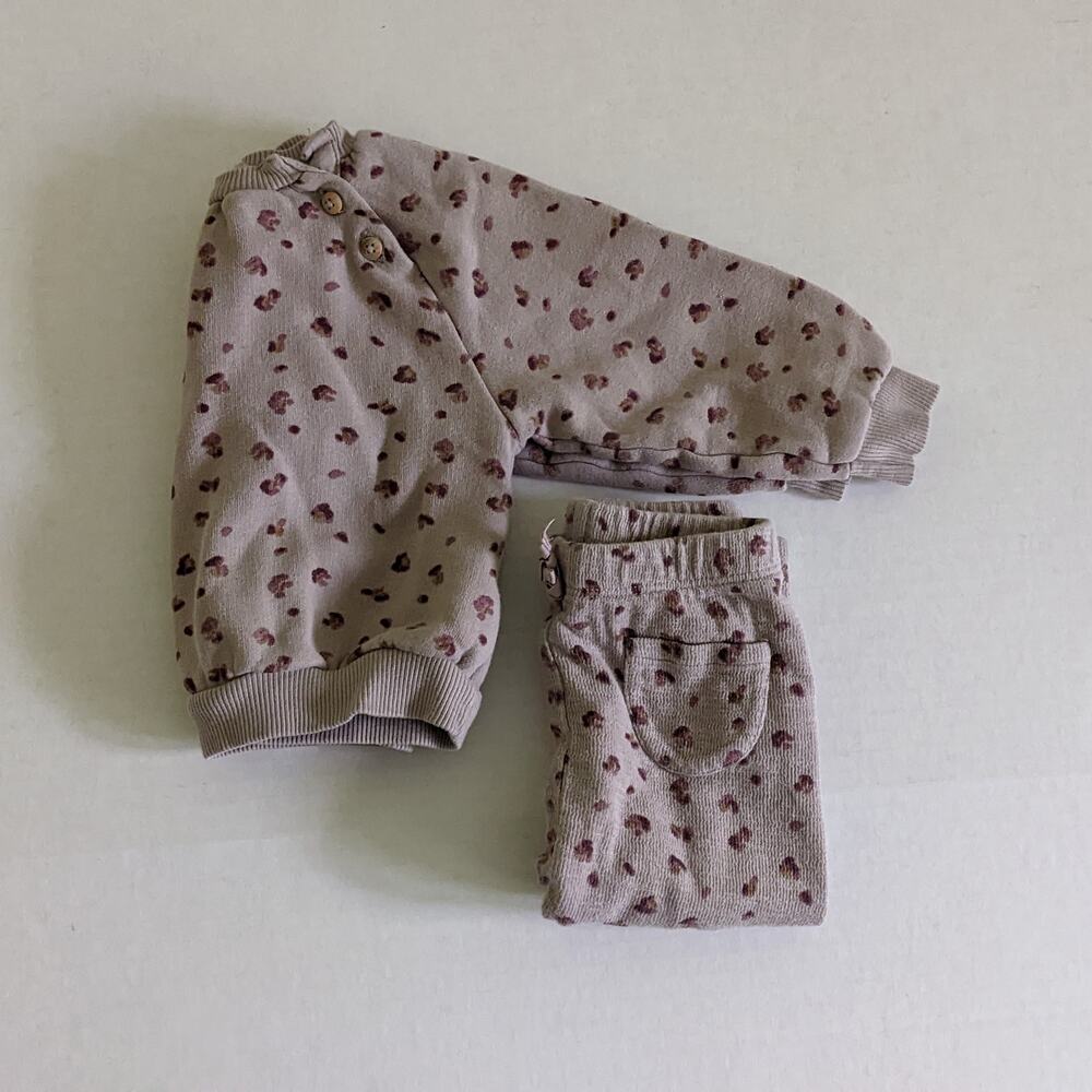 Zara Floral/Animal Print Set Size 6/9m Greige Purple Camel Sweatshirt Pants